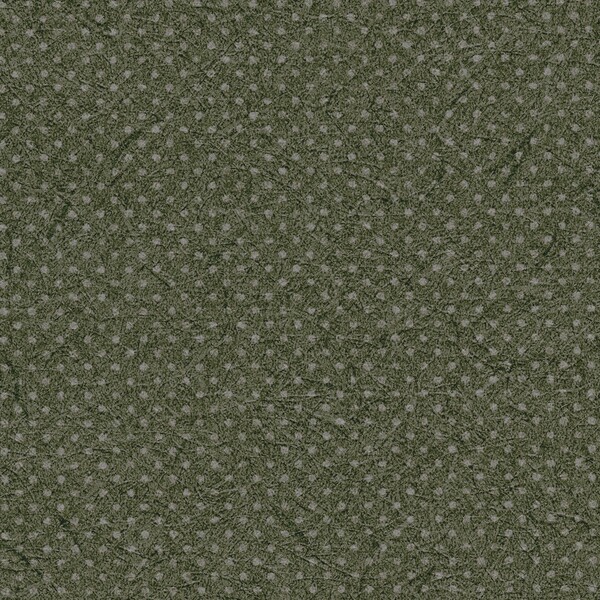 紀尾井kioi/行儀