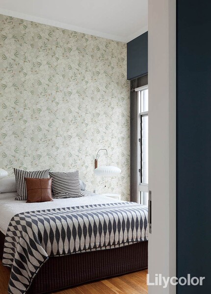 Lotta Kuhlhorn/Blad ブラード