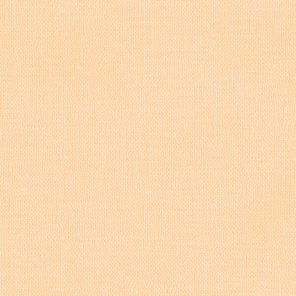 Lotta Kuhlhorn/Nordic Colors ノルディックカラーズ