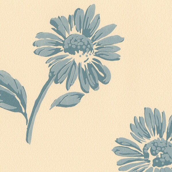 English Anthology/Coneflower コーンフラワー