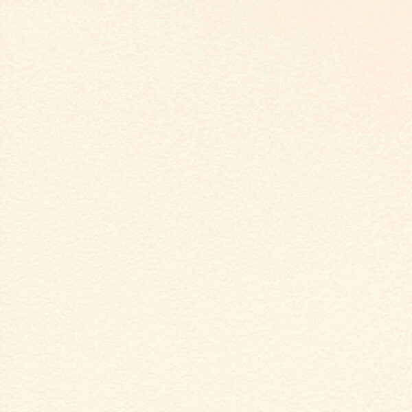 撥水トップコート ベーシック&カラー