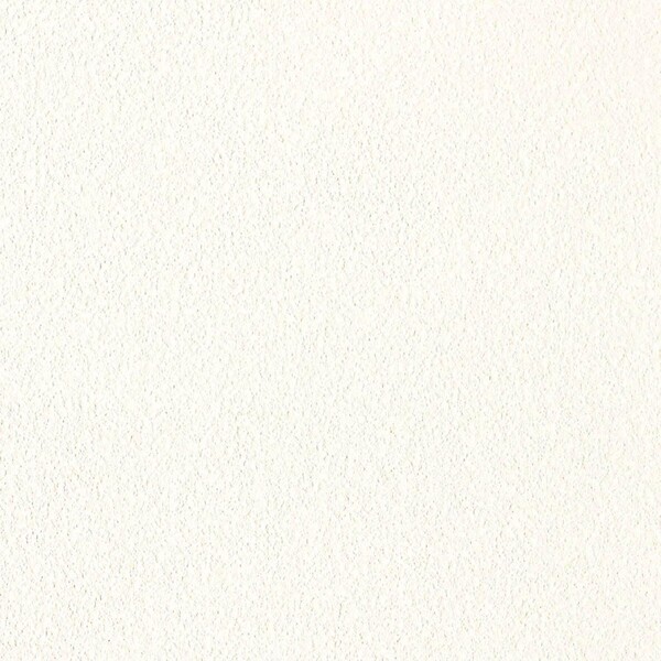 撥水トップコート ベーシック&カラー