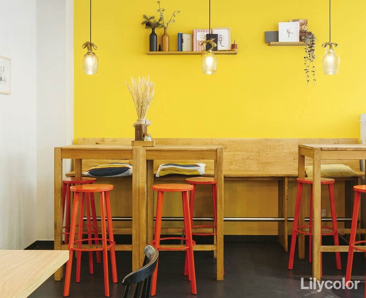 撥水トップコート ベーシック&カラー