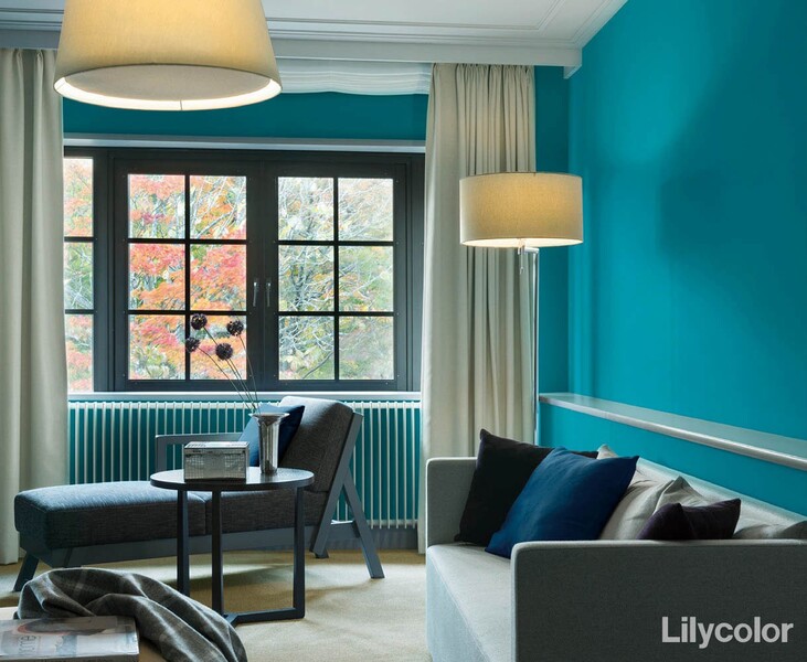 撥水トップコート ベーシック&カラー