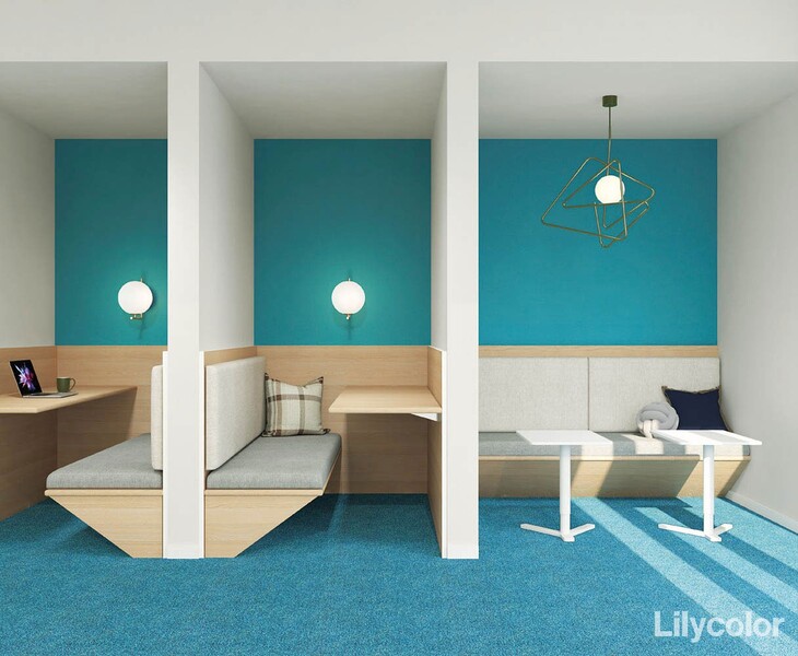 撥水トップコート ベーシック&カラー