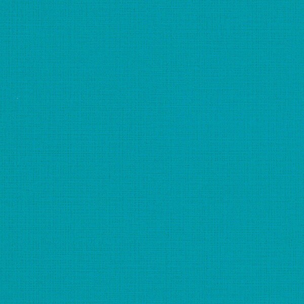 撥水トップコート ベーシック&カラー