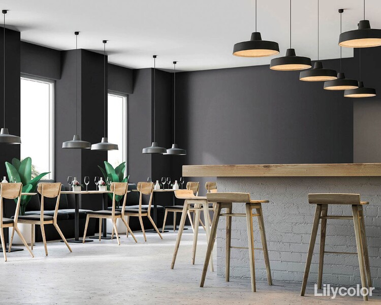 撥水トップコート ベーシック&カラー