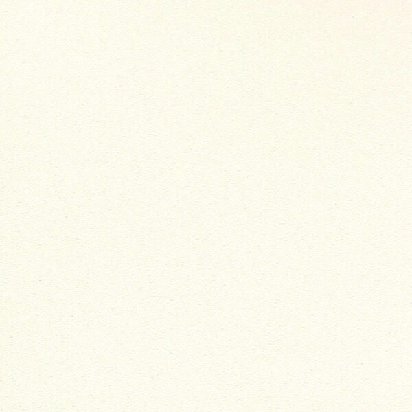 スーパー強化+汚れ防止(ペット対応)