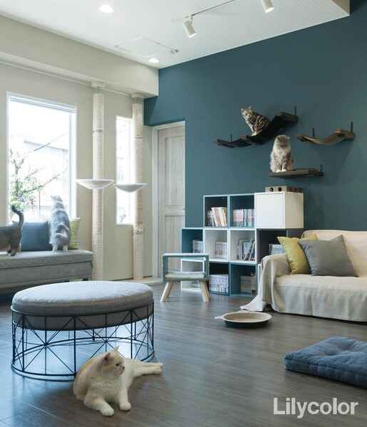 スーパー強化+汚れ防止(ペット対応)