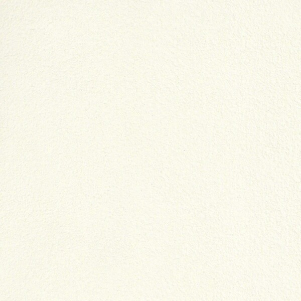 抗ウイルス壁紙 ウイルスアーマー