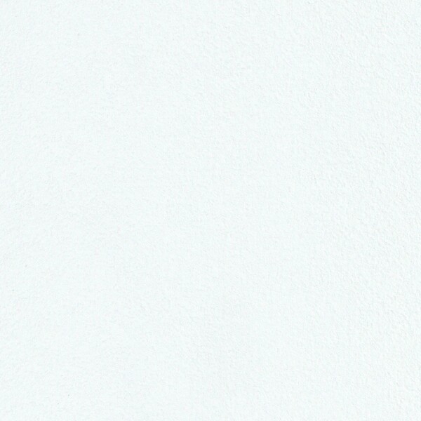 抗ウイルス壁紙 ウイルスアーマー