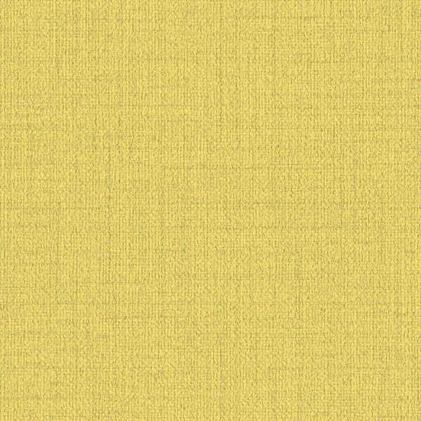 pattern&color/Forest