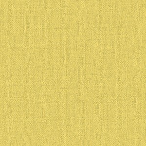 pattern&color/Forest