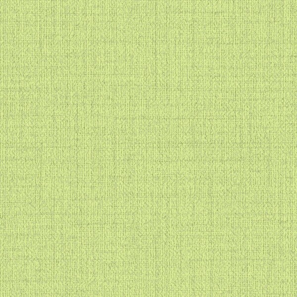 pattern&color/Forest