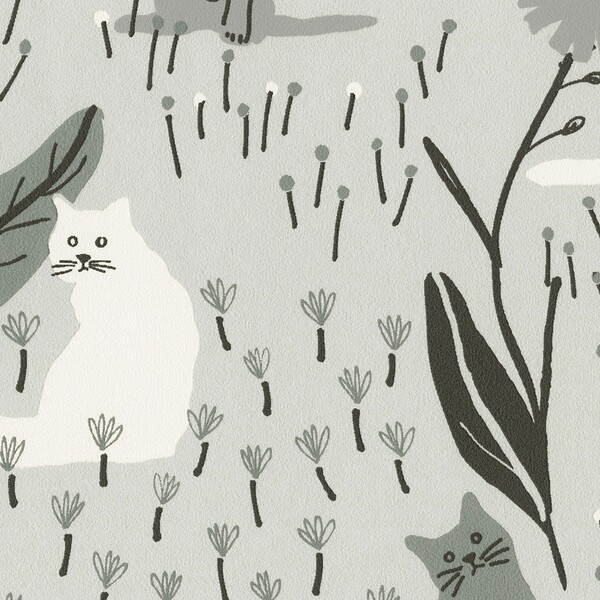 pattern＆color/Animal