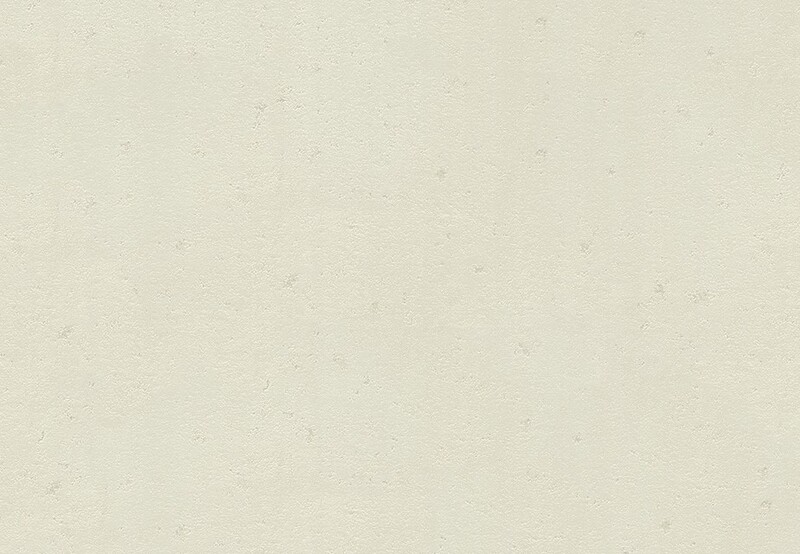 pattern&color/Animal