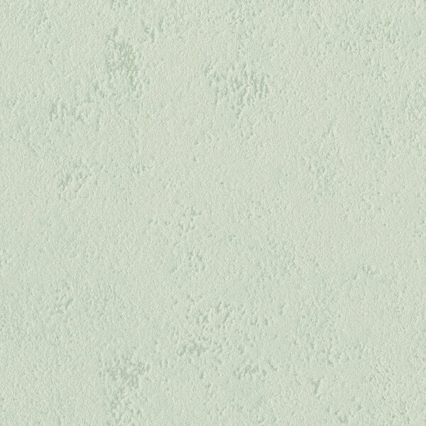 pattern&color/Animal