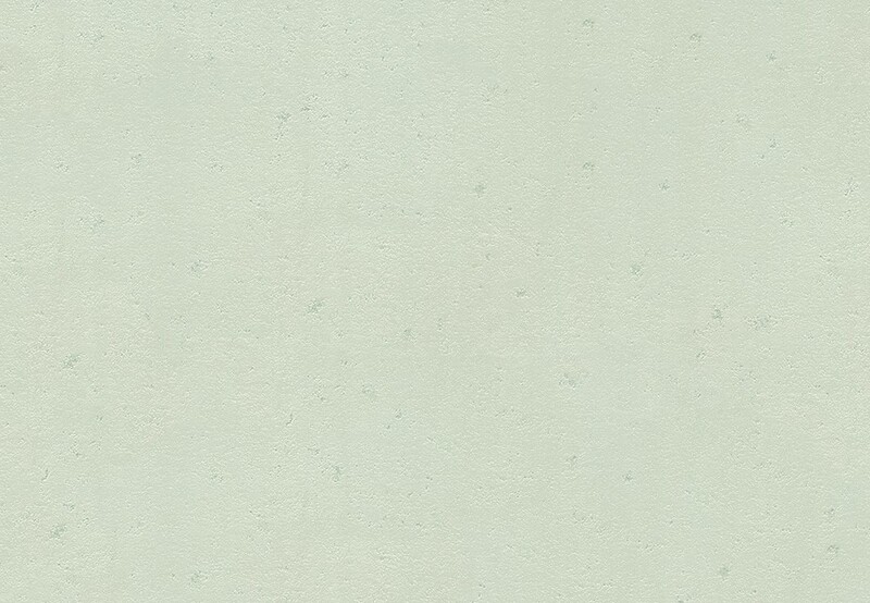 pattern&color/Animal