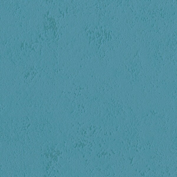 pattern&color/Animal