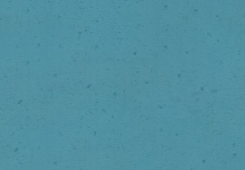 pattern&color/Animal