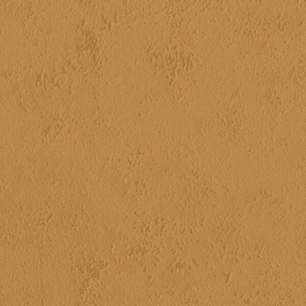 pattern&color/Animal