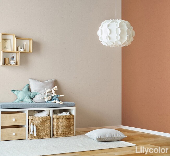 pattern&color/Animal