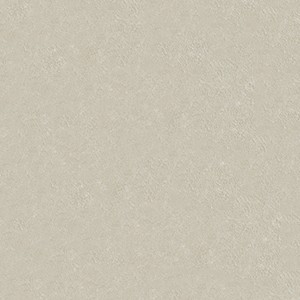 グレー系スタッコ調壁紙