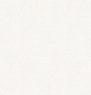 天井にもおすすめのデザイン壁紙