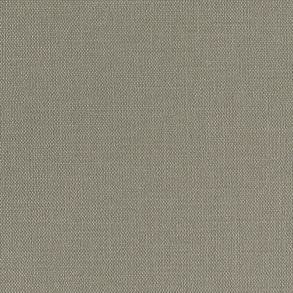 消臭+汚れ防止壁紙 アクセントクロス