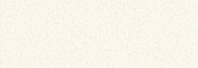 消臭＋汚れ防止壁紙 大人女子