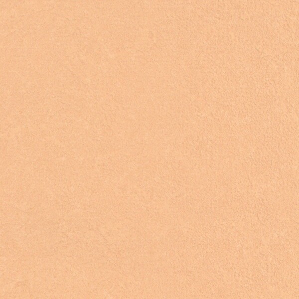 抗ウイルス壁紙 ウイルスアーマー くすみカラー