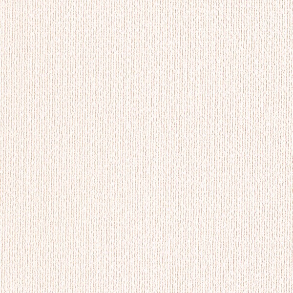 天井にもおすすめベーシック壁紙