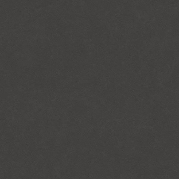 ブラック ノンワックスコーティング+抗菌+抗ウイルス+消臭+土足OK＋防滑性 東リ NS4805