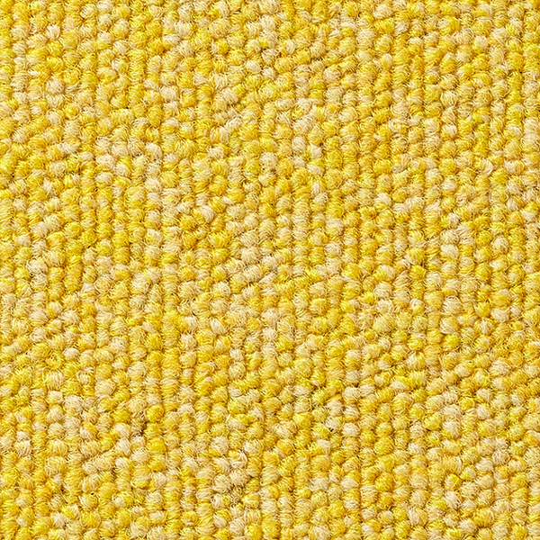 NT700