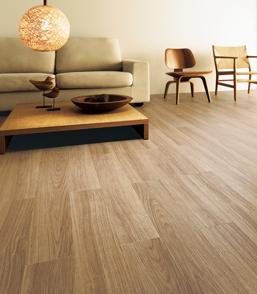 イークリンNW-EX シャイニングオーク