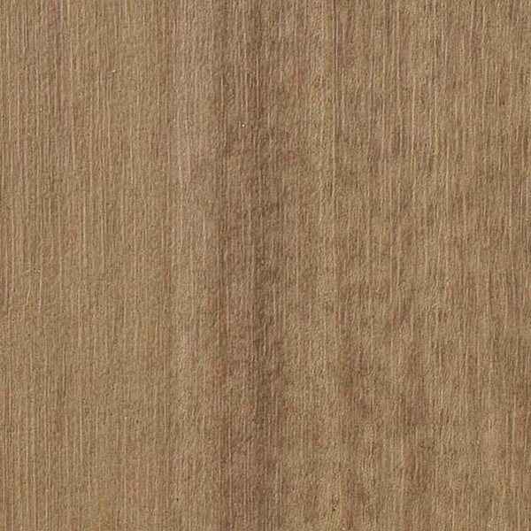 エスリューム･リアル ジャドバウッド