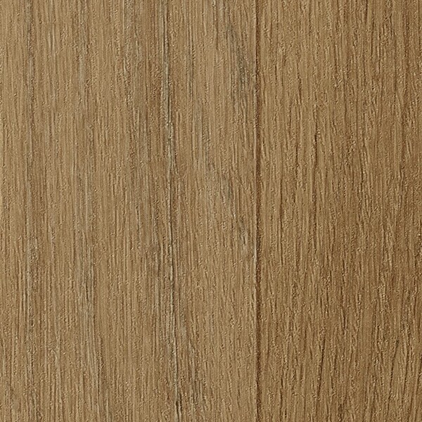 ストロング Naturescape/ Forest Brook 森のせせらぎ