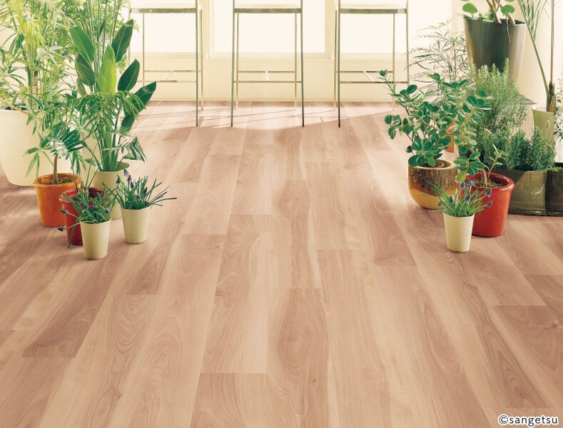 ストロング バーチ