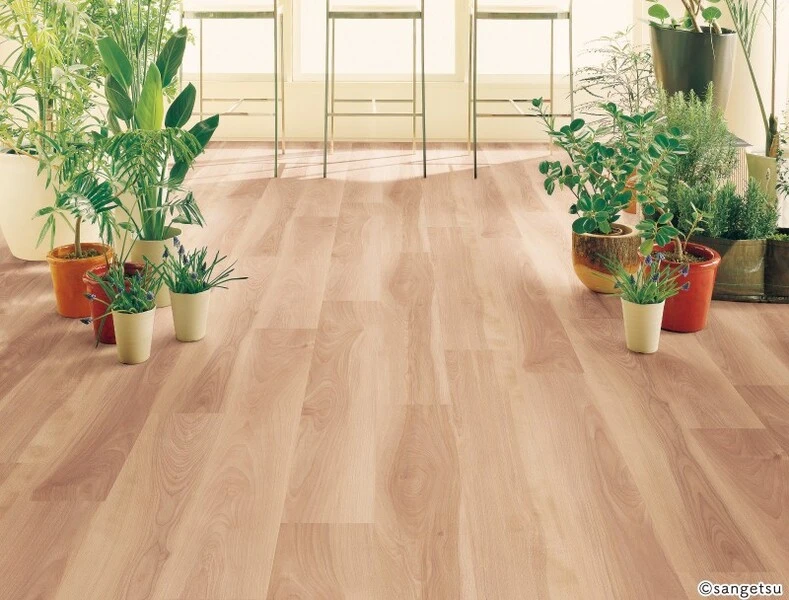 ストロング バーチ