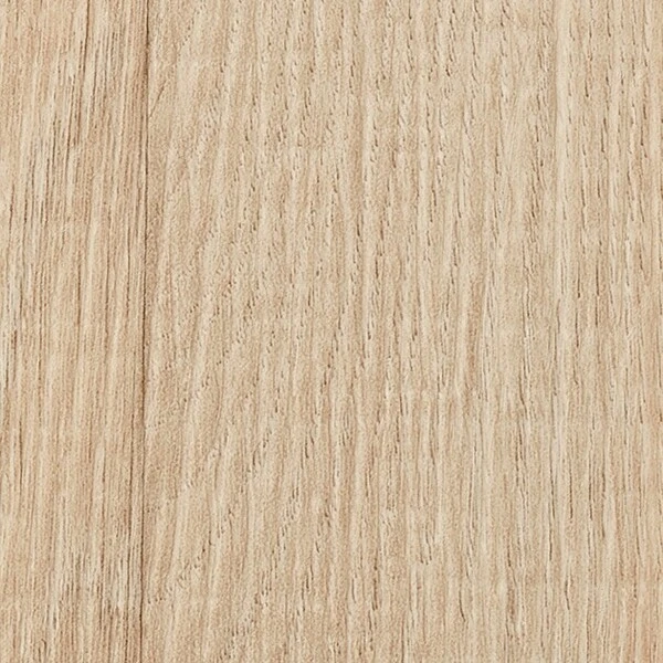 リアルセーフティ フォギーウッド