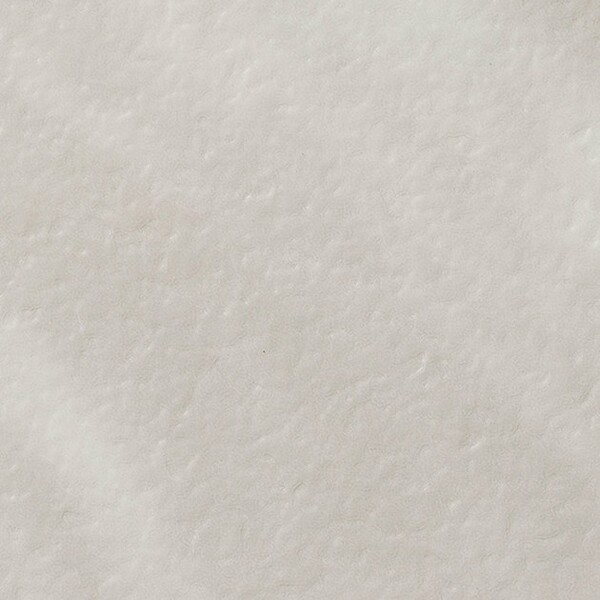 消臭レストリューム バルディーリョ