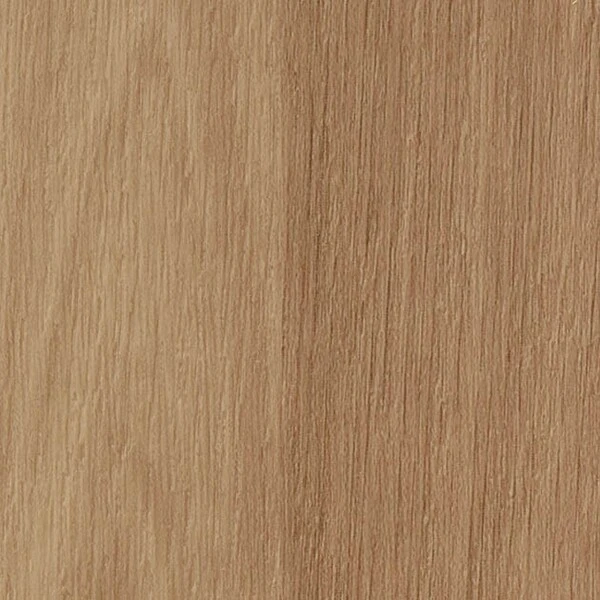 消臭レストリューム エルム