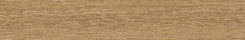 ロイヤルストーン・ノンス　シャイニングオーク（ノンス）