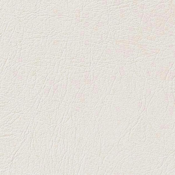 ヴィンテージ風柄入り&レザー調壁紙