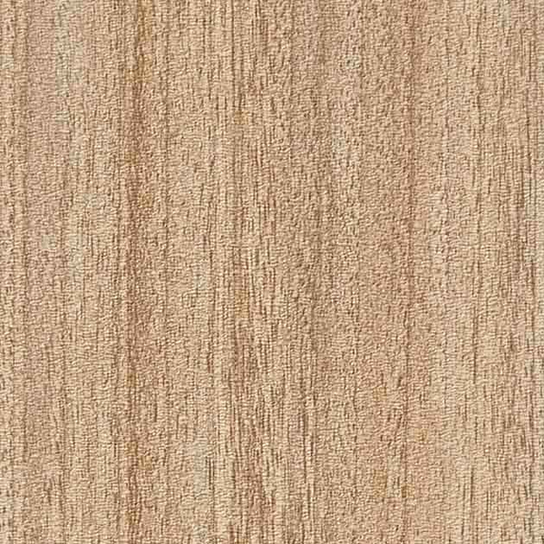 抗ウイルス壁紙/ウイルス対策に効果的