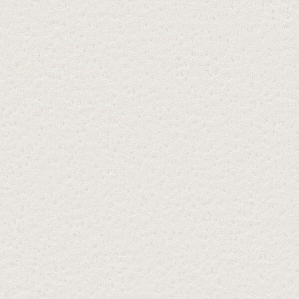 ベーシックカラー