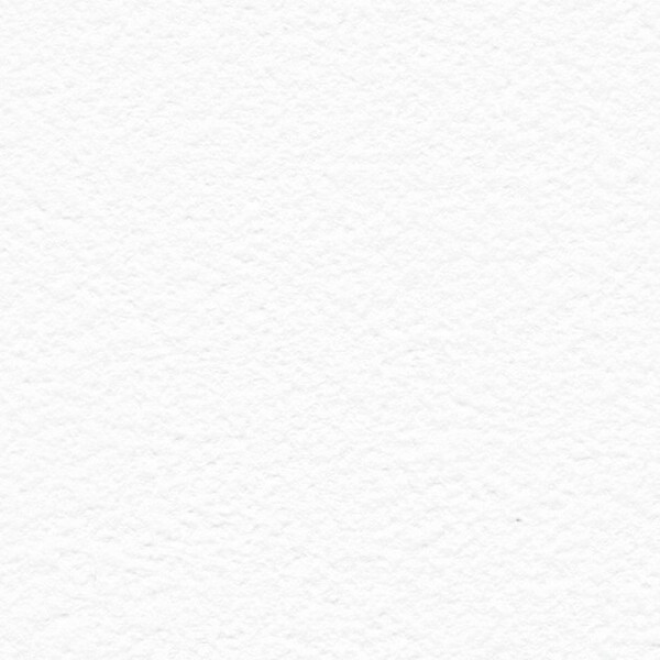 Spring Nap 春の昼寝