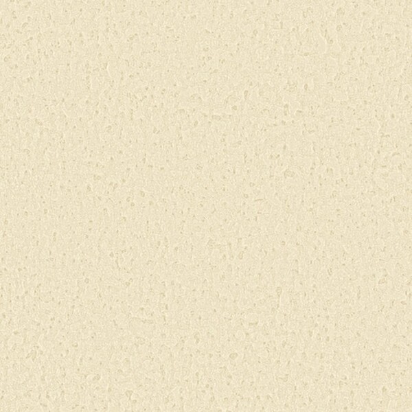 Spring Nap 春の昼寝