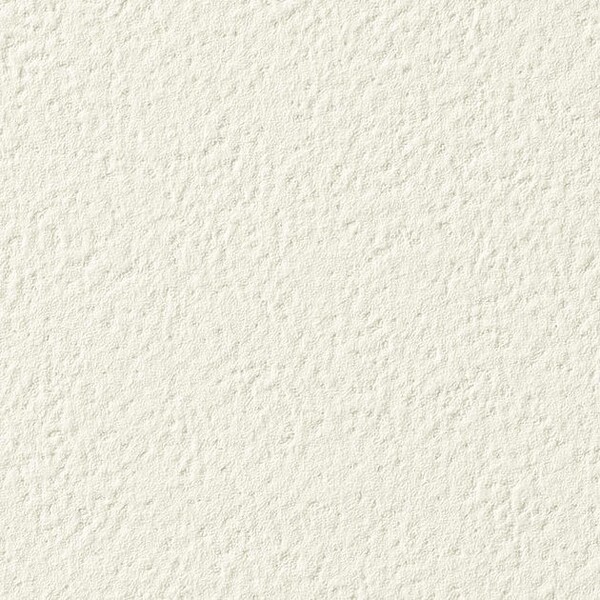 Summer Field 夏の畑