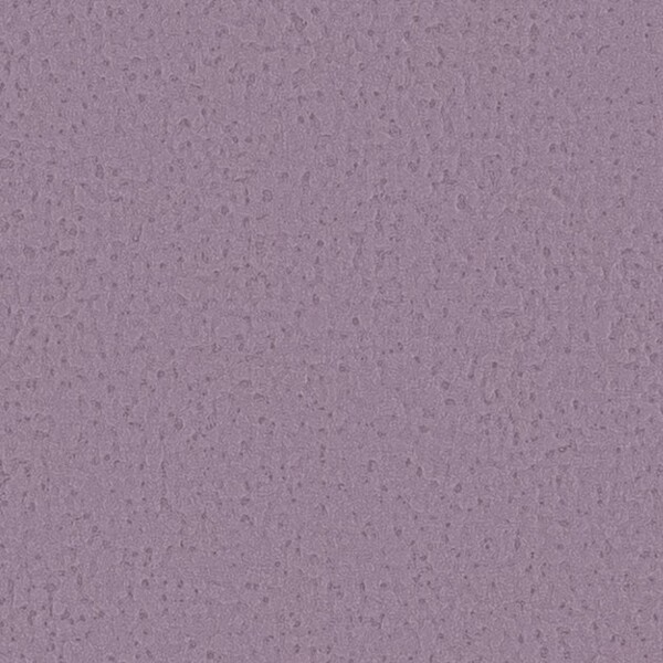 Autumn Harvest 秋の収穫